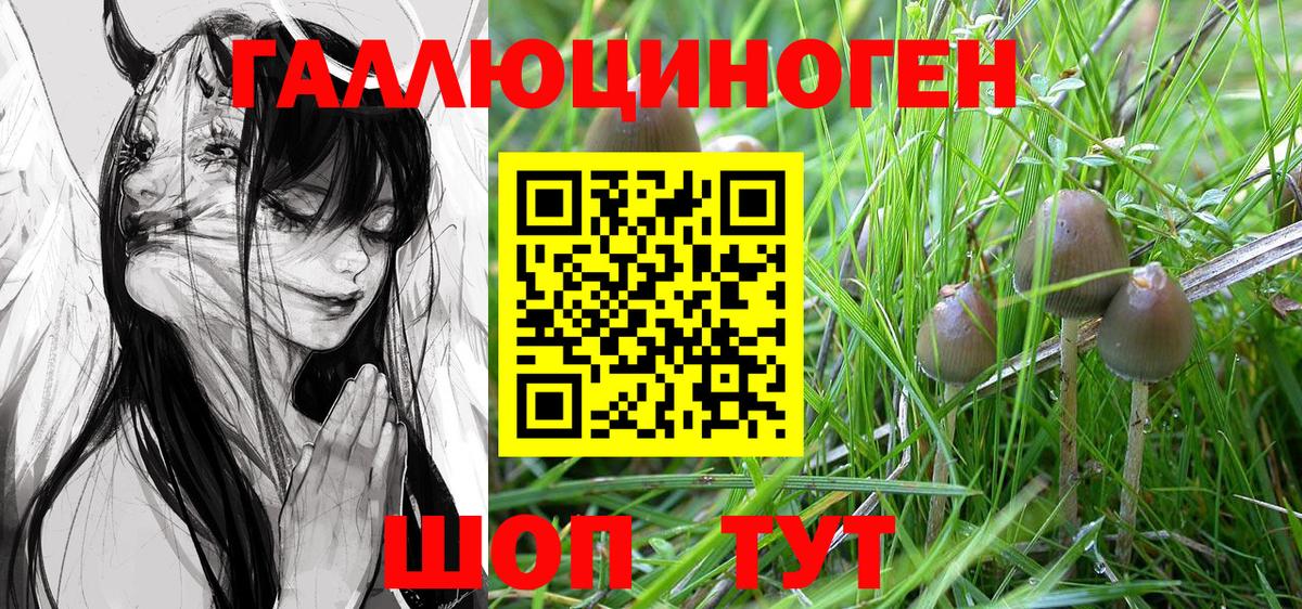 Псилоцибиновые грибы Psilocybe  Вход с VPN  Сочи 